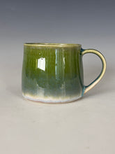 Load image into Gallery viewer, Reserved for Kayla