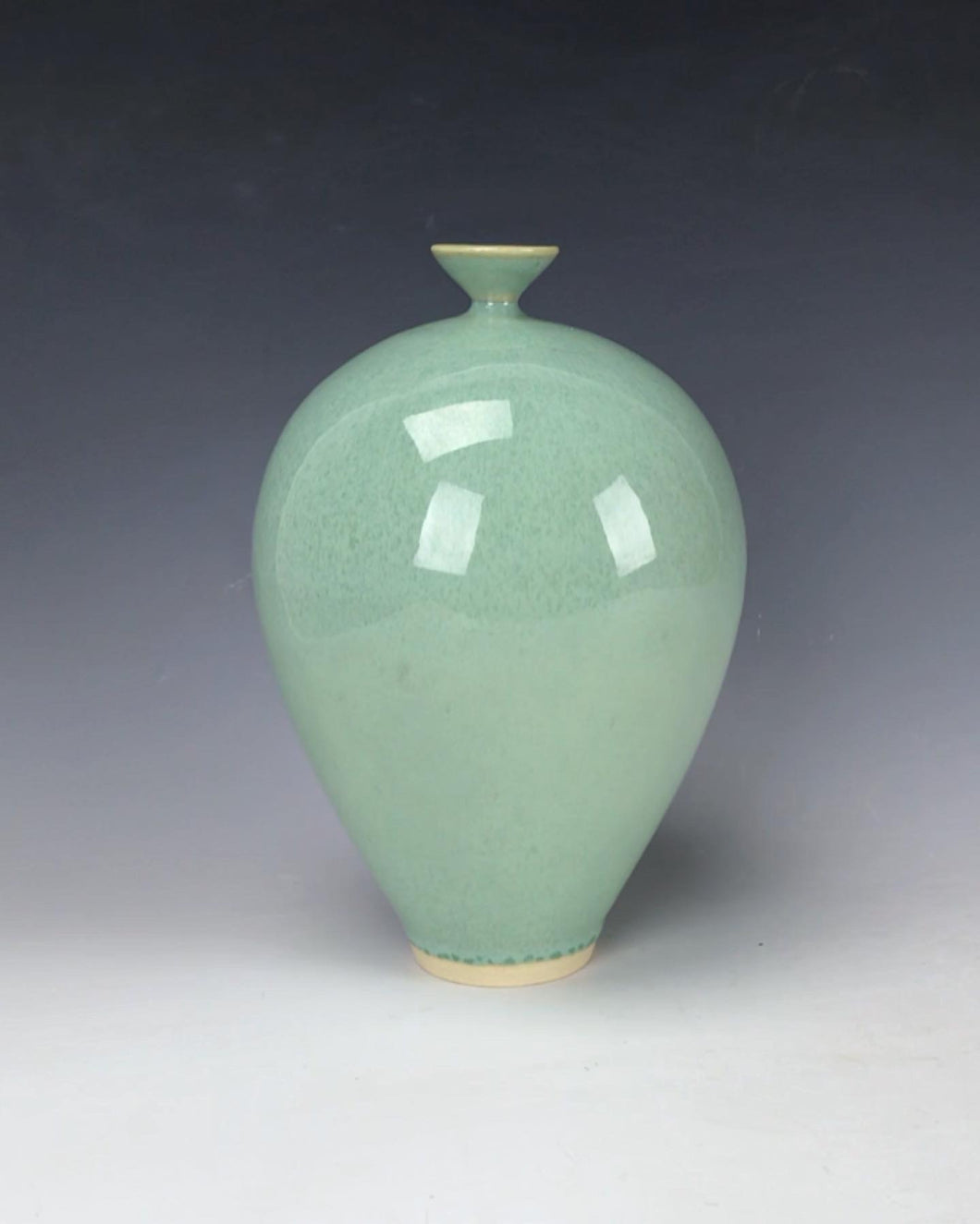 Wheel thrown Ceramic Vase by Galaxy Clay Fine Art
