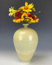Load image into Gallery viewer, Ceramic Handmade Crystalline Vessel
