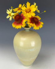 Load image into Gallery viewer, Ceramic Handmade Crystalline Vessel